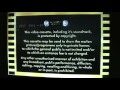 Opening To Oliver UK VHS 2000