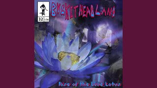 Rise of the Blue Lotus