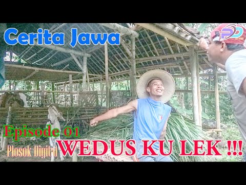 ANGON NENG KANDANG || Eps 01 || Cerita Jawa