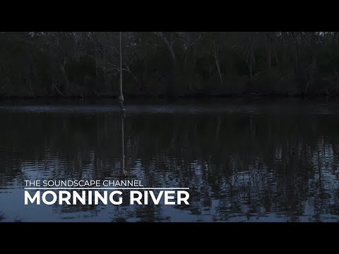 Morning River: Relaxing ASMR Sounds of Nature and Riverbank Ambience