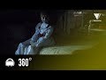 Experience Bee S Room In 360 ANNABELLE CREATION