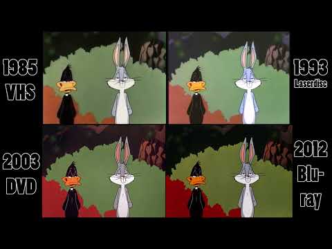 Rabbit Seasoning Comparison