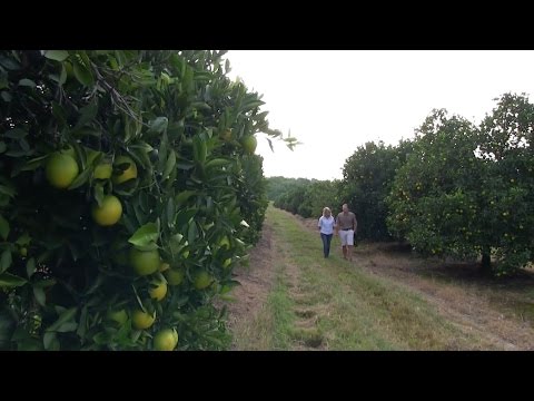 Dorp van die Jaar 2017: Finalis - Nelspruit