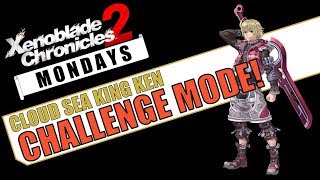 Xenoblade Chronicles 2 - Cloud Sea King Ken Revenge Challenge Mode - Low Party Build