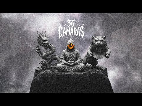 JOE FLAMANTE - 36 CÁMARAS