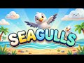 Seagull Symphony DJC Kids Soars With Feathery Facts And Fun