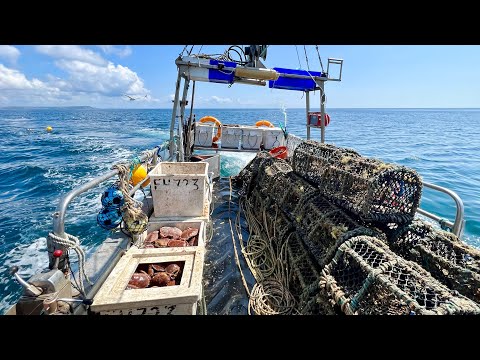 Commercial Fishing - A Day in the Life of a Commercial Crab Fisherman | The Fish Locker