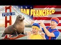 Exploring The World Surprising San Francisco D Billions Travels