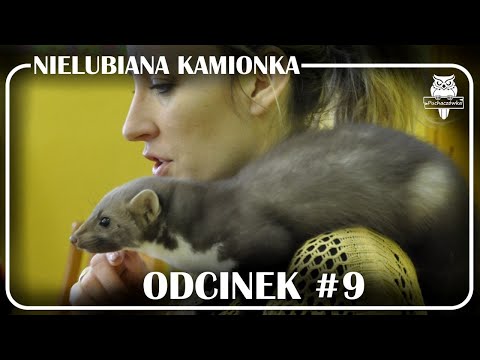 Odcinek #9 - Nielubiana kamionka 🐾