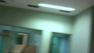 CatsNews, &quot;studio&quot; pt.2