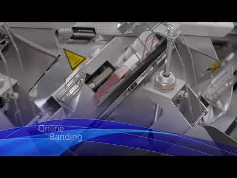 BPS M3 - High-Speed for Maximum Efficiency