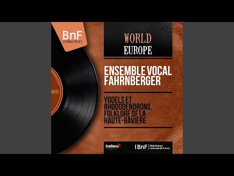 Das Echo vom Königsee (feat. Hans Conzelmann et son orchestre, Max Greger Enzian-Sextett)