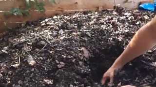 preview picture of video 'Composting at The Dirt Factory'