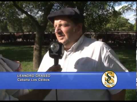 LEANDRO GRASSO - Cabaña Los Ceibos - Ledesma y Arana SRL - 13/02/2014