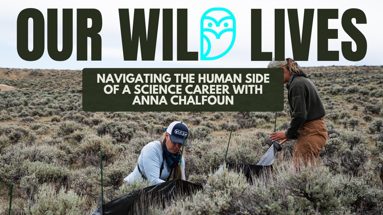 LISTEN: Anna Chalfoun navigates the human side of science