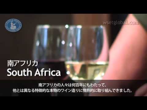 WSET 3 Minute Wine School - South Africa, presented by Jancis Robinson MW -   Japanese subtitles