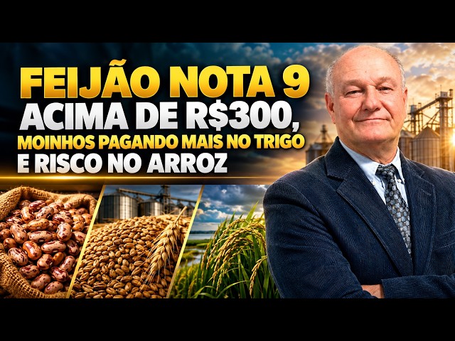 Feijão Nota 9 Acima de R$300, Moinhos Pagando Mais no Trigo e Risco no Arroz.