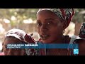 S&eacute;n&eacute;gal : les baobabs de la fortune