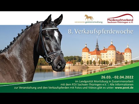 Trailer Verkaufpferdeswoche 2022