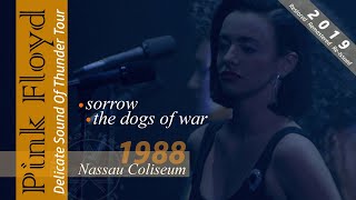 Pink Floyd - Sorrow / The Dogs Of War | Nassau 1988 - Re-edited 2019 | Subs SPA-ENG