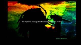 The Heptones- Through The Fire I Come- Ft. Brother Culture