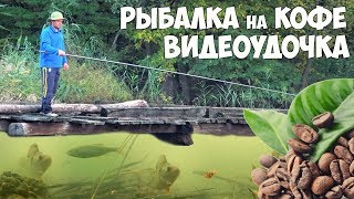 Чем отмыть запах от блесен для пруда