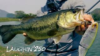 【バス釣り】操作系ビッグベイト“ラフィン250”アフター攻略
