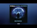 Pitbull ft. TJR - Don't Stop The Party