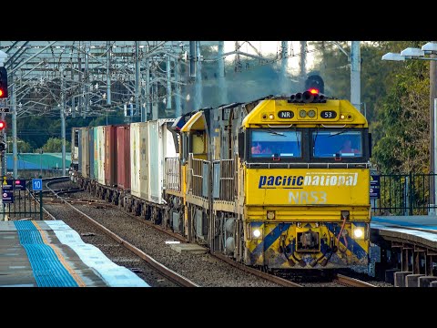 Pacific National | NR53 NR116 LDP001 | at Emu Plains NSW ready to climb up Blue Mountains