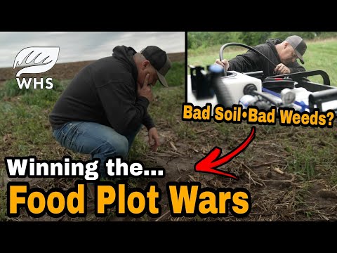 , title : 'Food Plot Weed Control Vs Soil Quality'