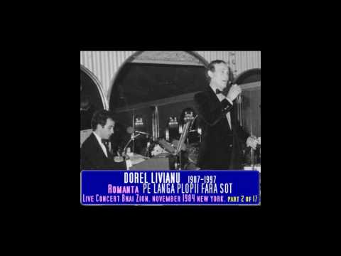DOREL LIVIANU - Pe langa plopii fara sot - 1984 Bnai Zion