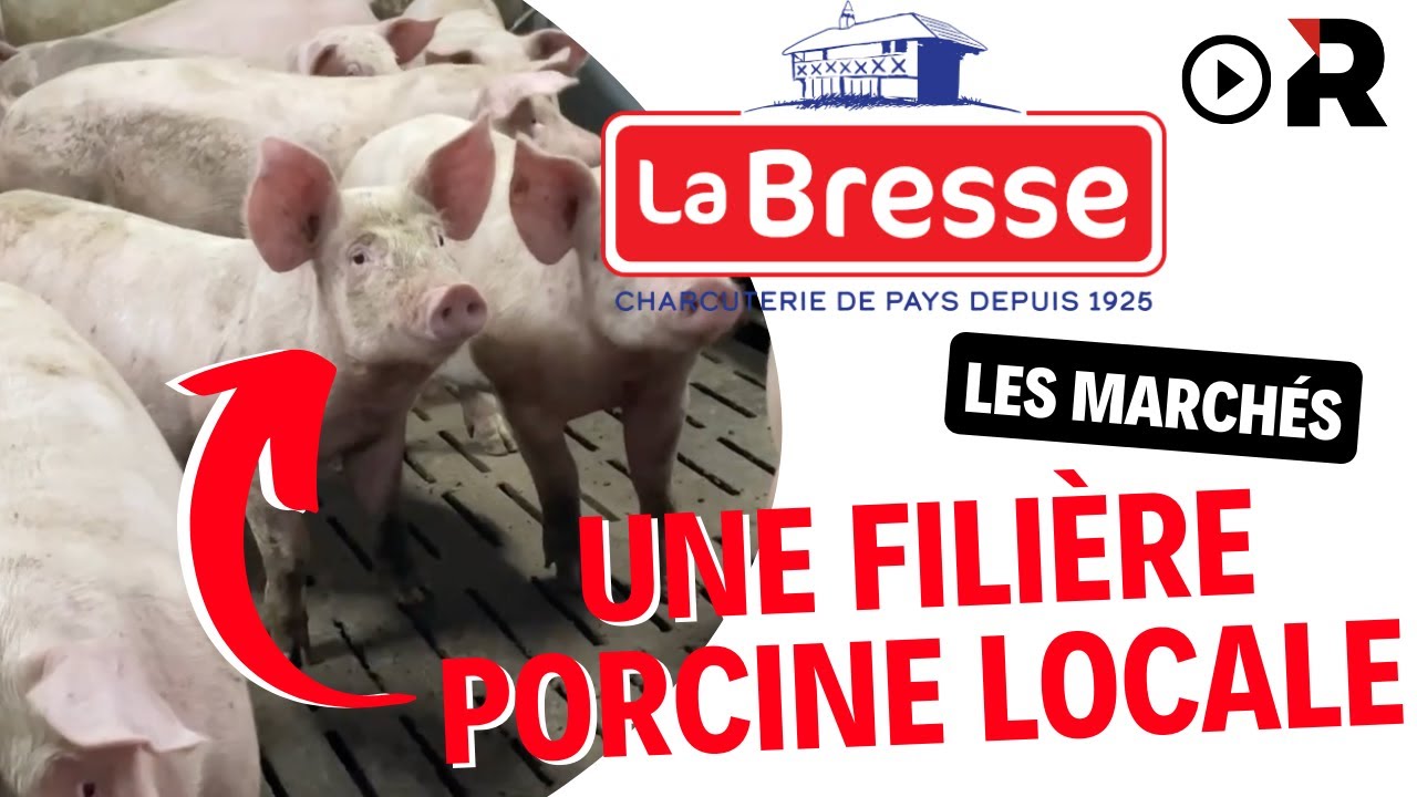 Filière porcine locale : l'initiative de LA BRESSE