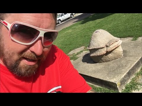 TDW 1470 - Keep Your Distance From THIS