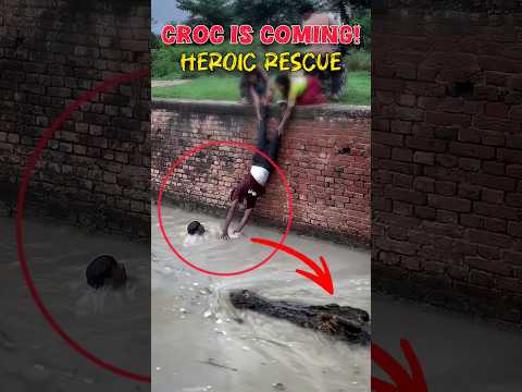 HEROIC⁉️ Rescue! Risking Life While Croc Lurks 🐊😱 #crocodile #amazing #scary