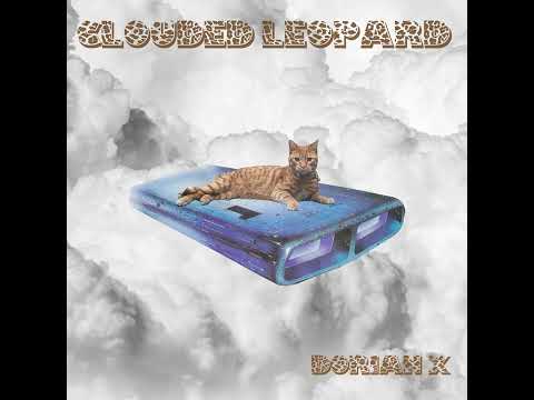 Clouded Leopard | Dorian X