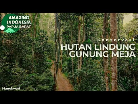 Taman Wisata Alam Gunung Meja | Amazing Indonesia Papua Barat