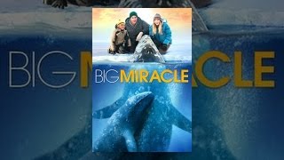Big Miracle