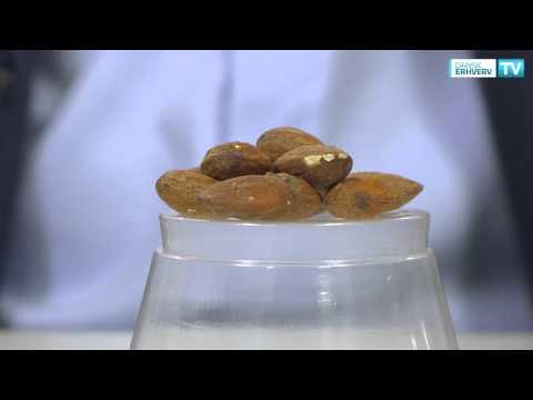 Besværlig nøddeafgift giver kun peanuts til statskassen