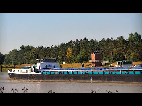 GMS "Emelie D." auf der Ems 2018 / Freighter "Emelie D."