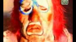 meat puppets backwater