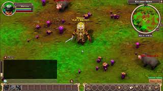 Kingdom of Galanor Alpha, equipped item visuals.