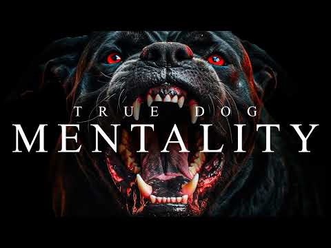 TRUE DOG MENTALITY - Best Motivational Video Speeches Compilation