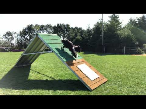 A -bræt 22.04.19 - 2/2