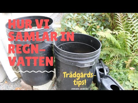 Hur vi samlar in regnvatten till odlingarna