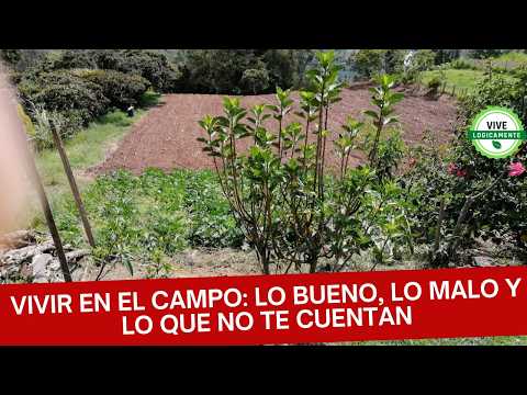 7 cosas que cambian en tu vida cuando decides vivir del campo