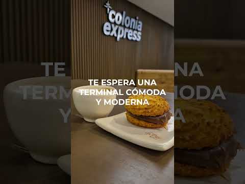 Más que un viaje: Una experiencia Colonia Express🛳️