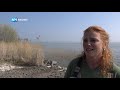 Droom verwezenlijkt: Monnickendam is een strandtent rijker