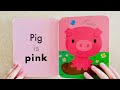 Colours Kids Books Read Aloud With Amy Storytimewithamy3437