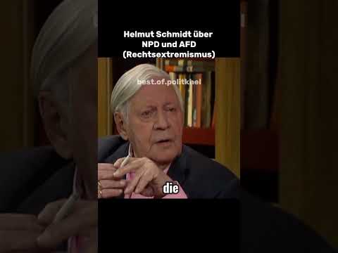 Helmut Schmidt über NPD und AFD (Rechtsextremismus) #politik #helmutschmidt #npd #afd
