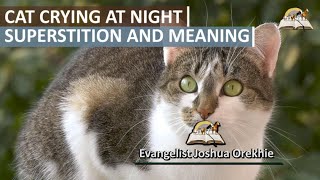 Cats Crying at Night Superstition and Meaning - Evangelist Joshua Animal TV
